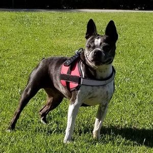 Meet your Posher, Tim